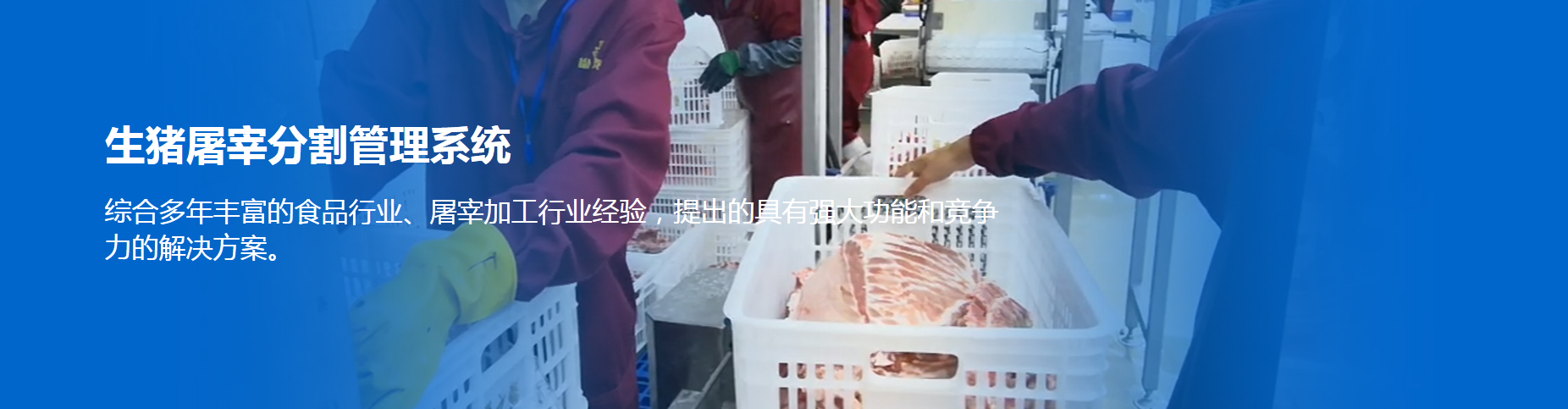 1660056637444169.png 生猪屠宰信息管理系统1.png
