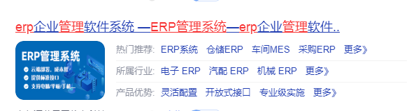 1665498452507258.png erp行业.png